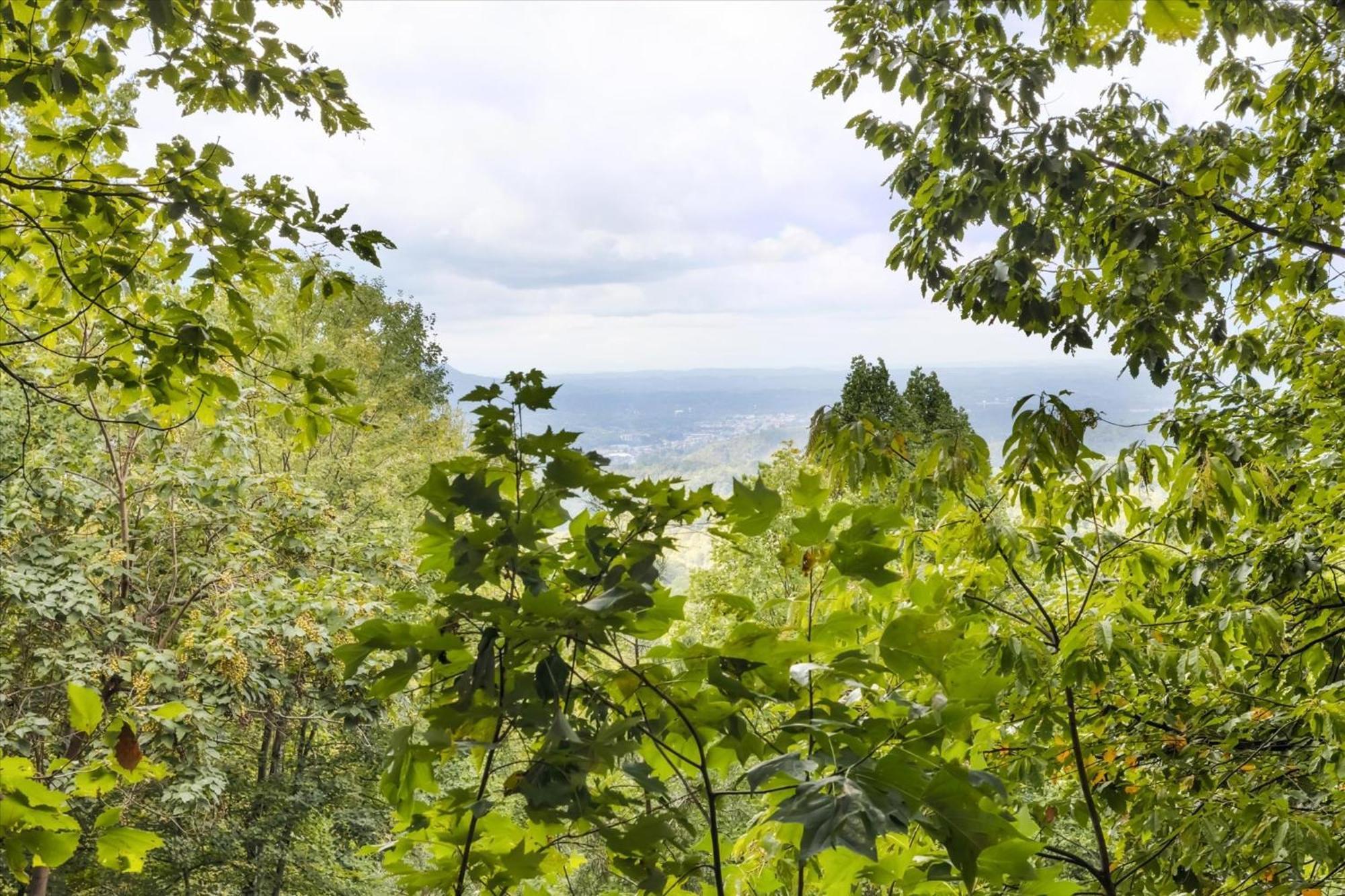 Views, Game Room And Hot Tub Bearway To Heaven Севьервилл Экстерьер фото